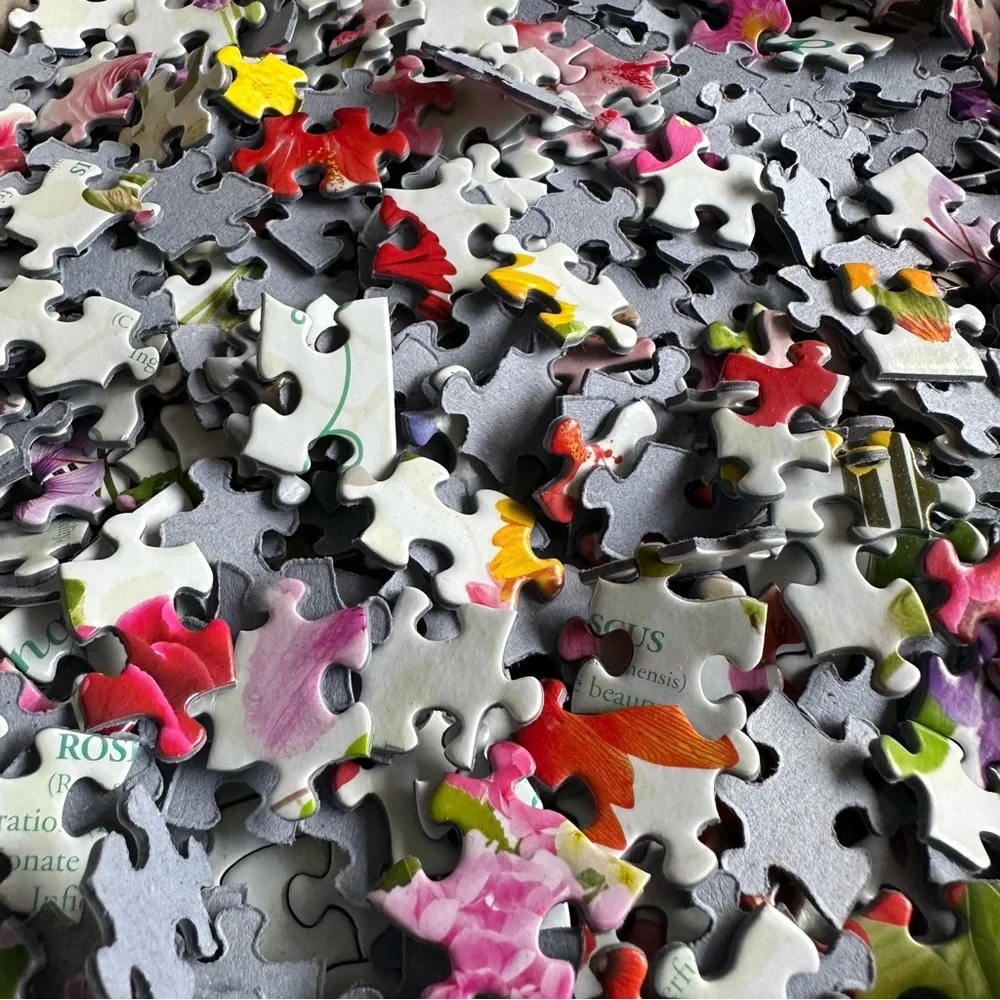 EUROGRAPHICS 1000pc The Language of Flowers Puzzle